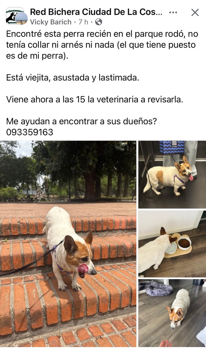 Adriana (@adriana43587622) on Twitter photo 