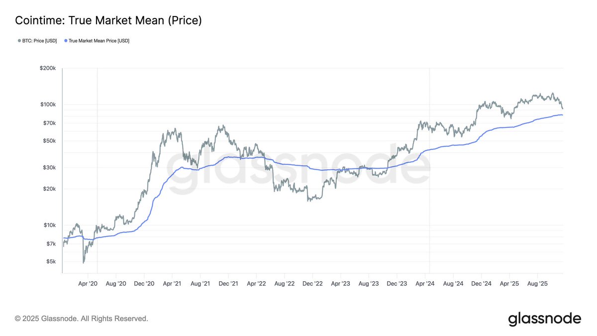 SinaEstavi's tweet image. 🔎 All roads lead to the True Market Mean…
The question is, who’s really prepared to buy there?

$81.9K is not just a number. It’s a psychological battleground.

#Bitcoin #OnChain #Glassnode