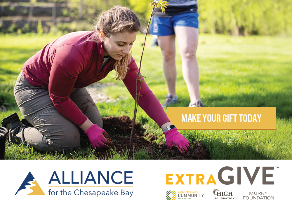 Today is ExtraGive here in Lancaster!
 
As a community-wide celebration focused on creating opportunities for everyone to thrive, it's hard to imagine a cause more critical than access to clean water.
 
The Susquehanna watershed is the largest contributor of freshwater to the