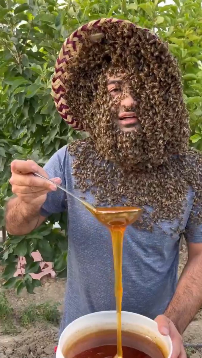 ralph horowitz tweet media