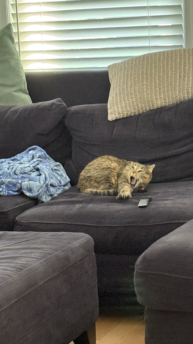 moopscoot's tweet image. BIG YAWN      okay now am done