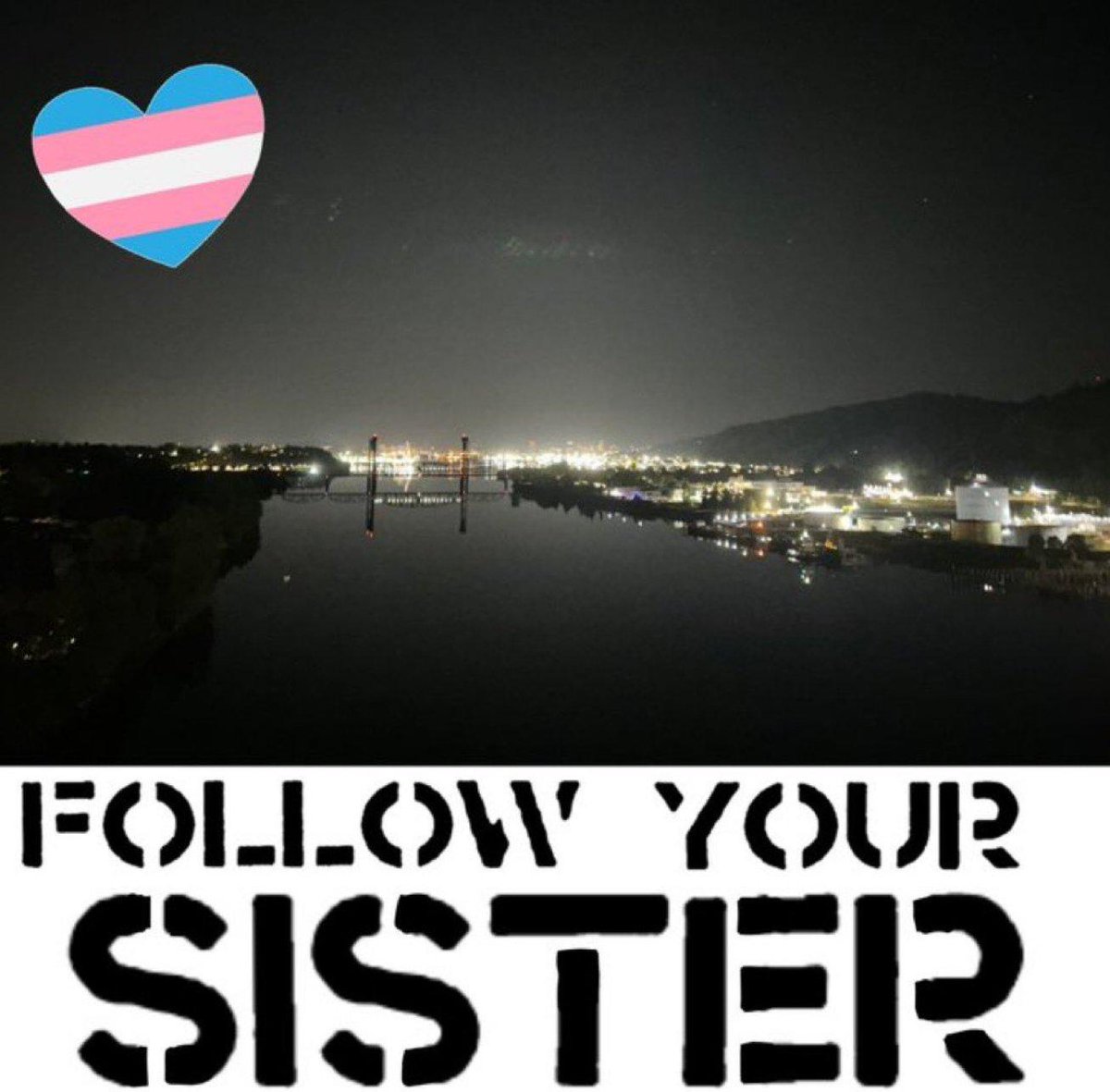 Marcus Halberstram tweet media