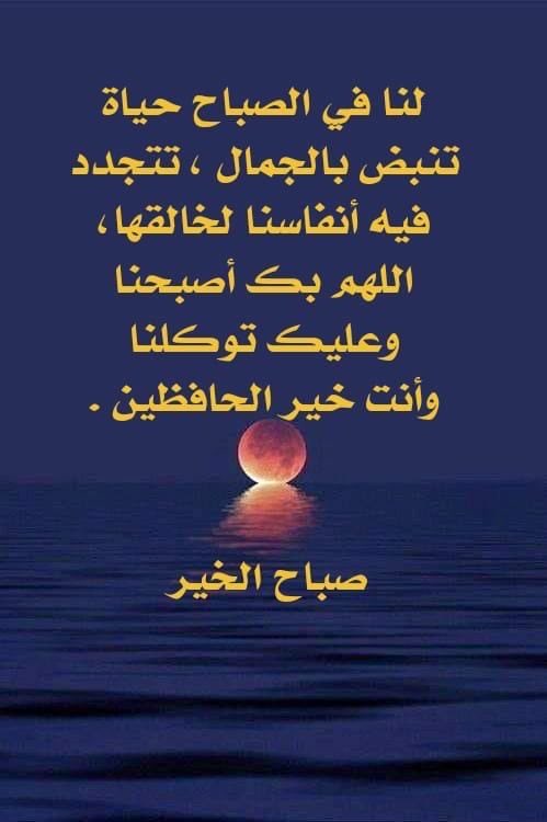 فتى الصحراء (@2023fata) on Twitter photo 