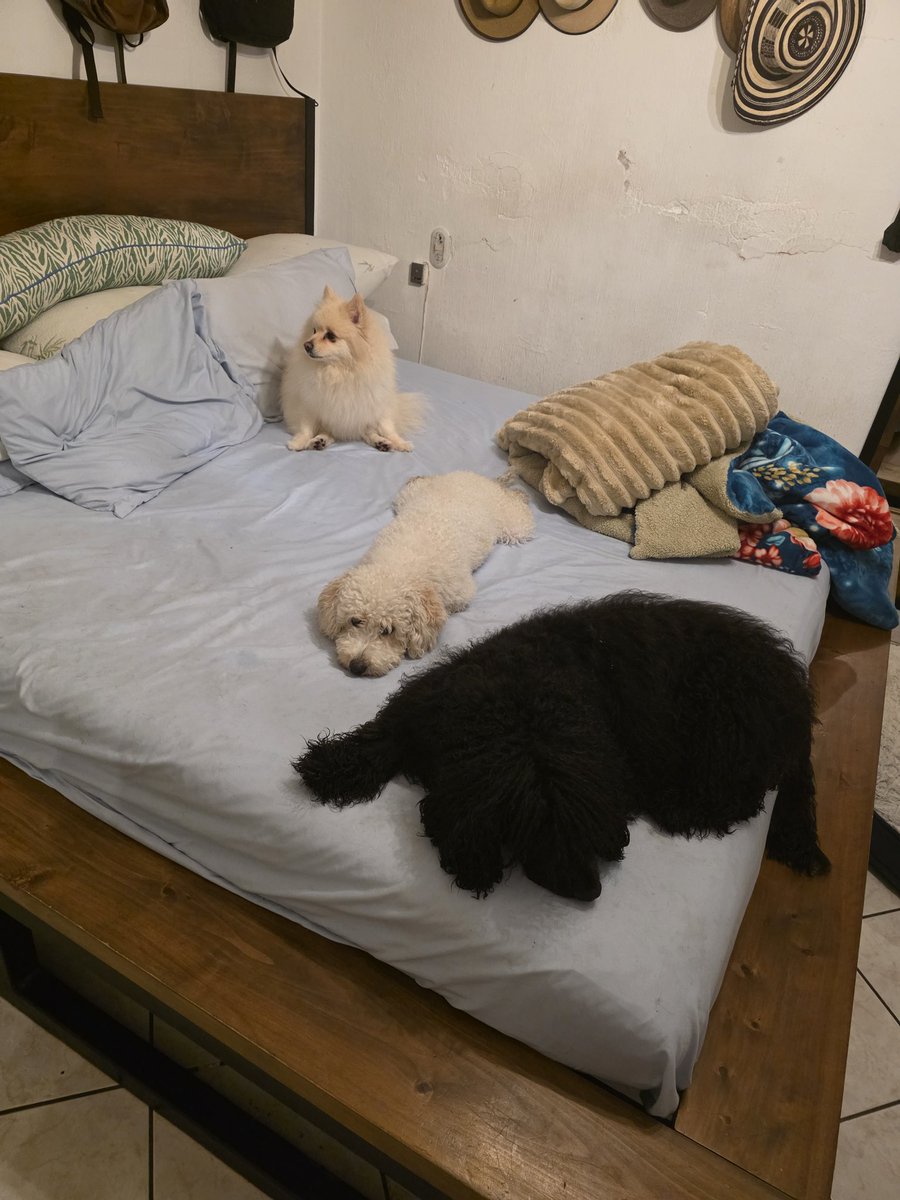 Our bed