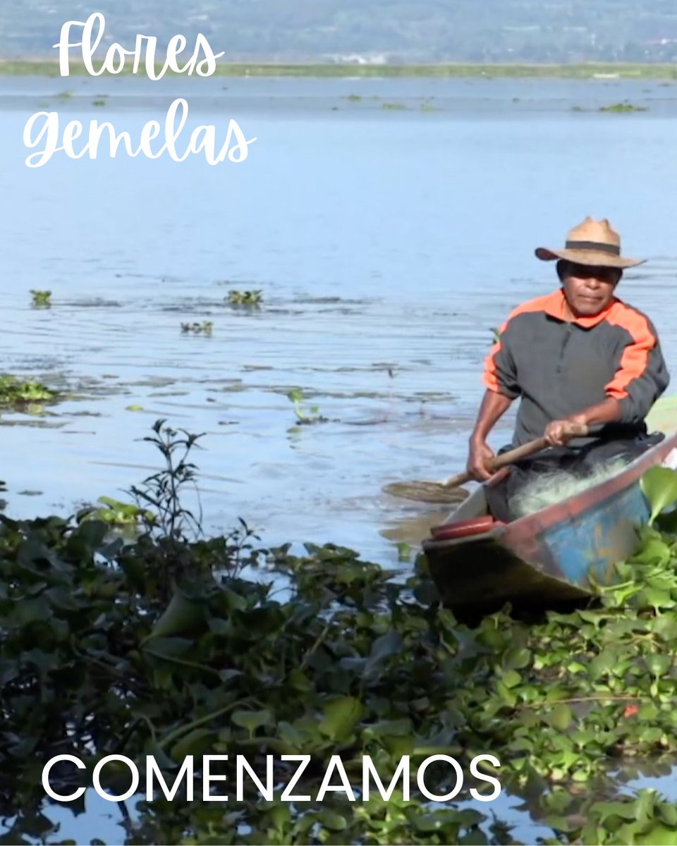 JusticiaTV_MX's tweet image. #COMENZAMOS | #FloresGemelas 🌸🌸

🎣Los pescadores y acuicultores trabajan con una filosofía de conservación, buscando regresar al mar &quot;un poquito de lo que le hemos quitado&quot; para que las futuras generaciones puedan seguir pescando estos recursos.

🌊Hablemos de la acuicultura…