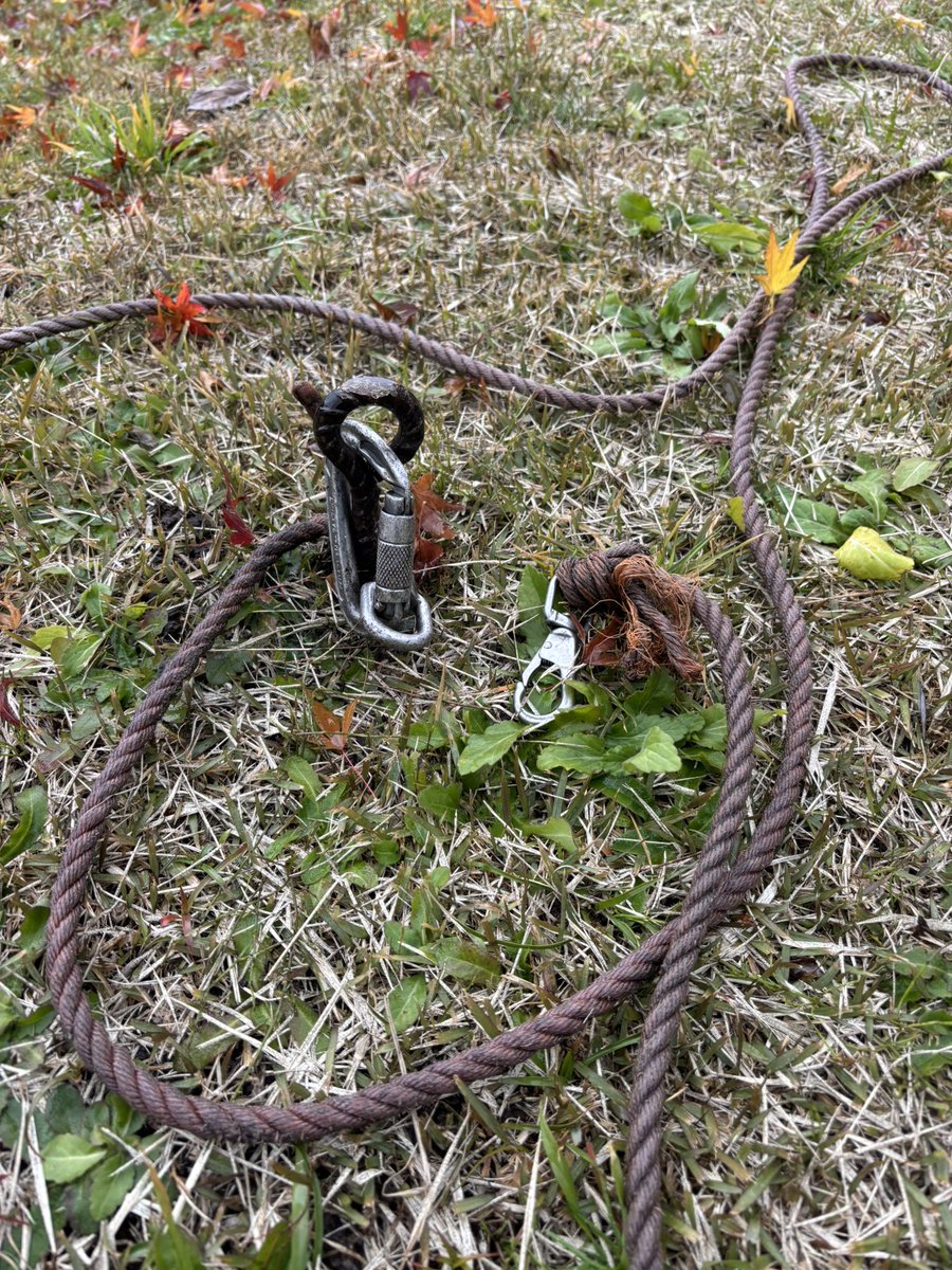 taromar_u's tweet image. 旅人あるあるだと思うのですが、ロバを係留するロープを野営地に置き忘れてきてしまい、クサツネを飯屋に預けて6km歩いて取りに戻る羽目に。