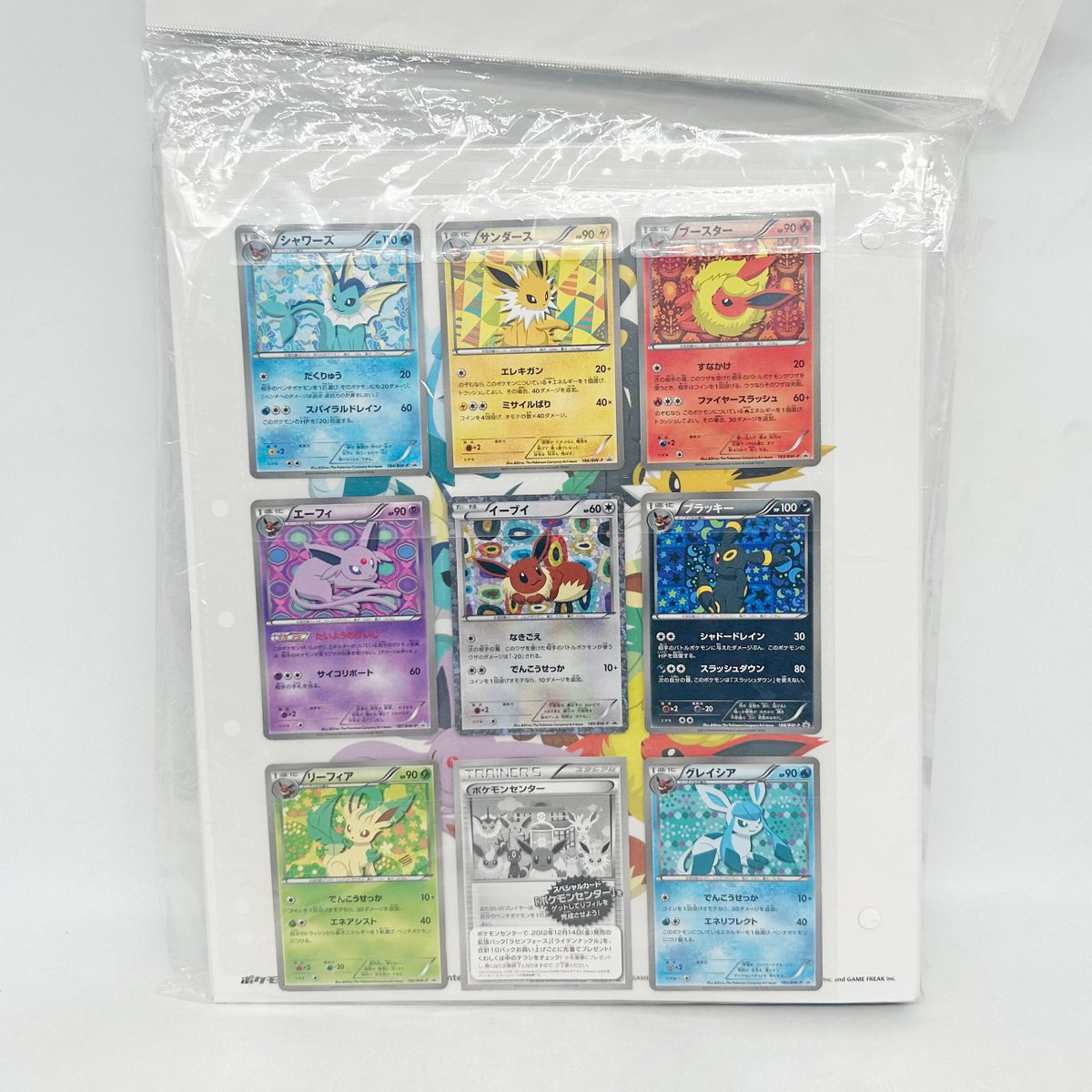 イーブイの日 【コレクションファイル イーブイコレクション