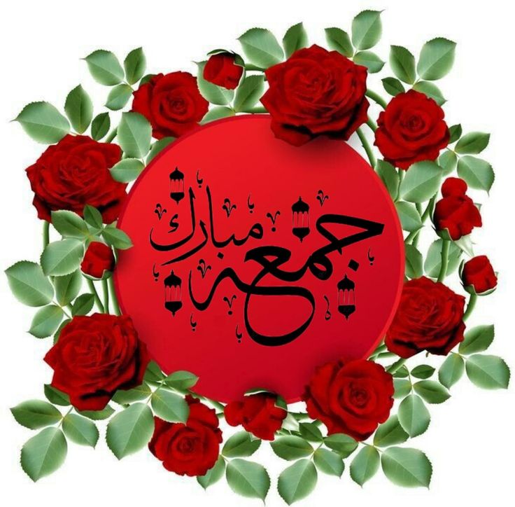 01sehrr's tweet image. اسلام علیکم🌺
اَللّٰھُمَّ صَلِِّ عَلٰی مُحَمَّدٍوَّعَلٰی آلِ مُحَمَّدٍکَماصَلَّيتَ عَلٰی اِبْراھِيمَ وَعَلٰی آلِ اِبْراھيمَ اِنَّكَ حَمِيدُمَّجِيدُُ
اللَّھُمَّ بَارِك عَلٰی مُحَمَّدٍوَّعَلٰی آلِ مُحَمَّدٍکَمَا بَارکتَ عَلٰی اِبراھِيمَ وَعَلٰی آلِ اِبراھيمَ اِنَّك حَمِيدُمَّجِيد🌹