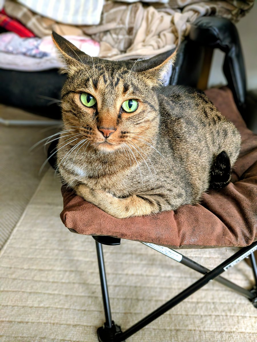 やまおか (@yamaoka_n2525) / Posts / X