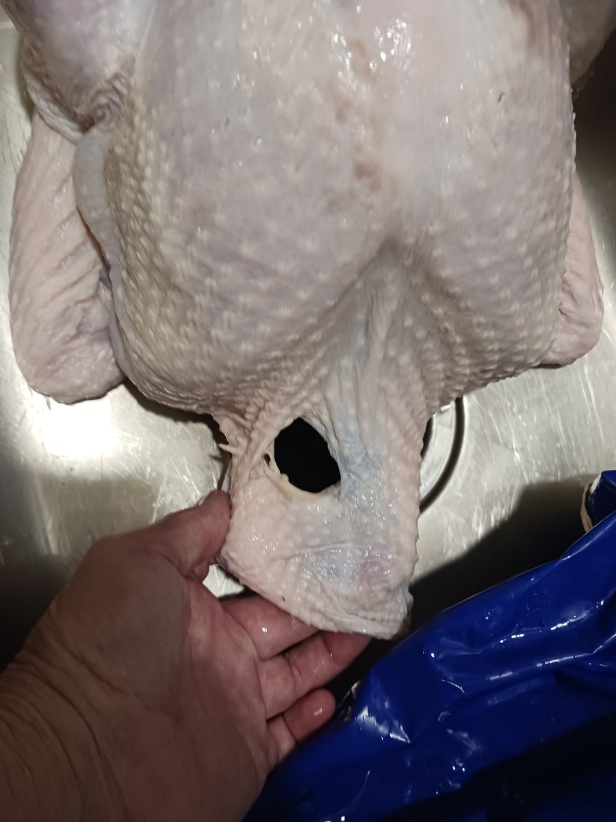 The Angry Mechanic tweet media