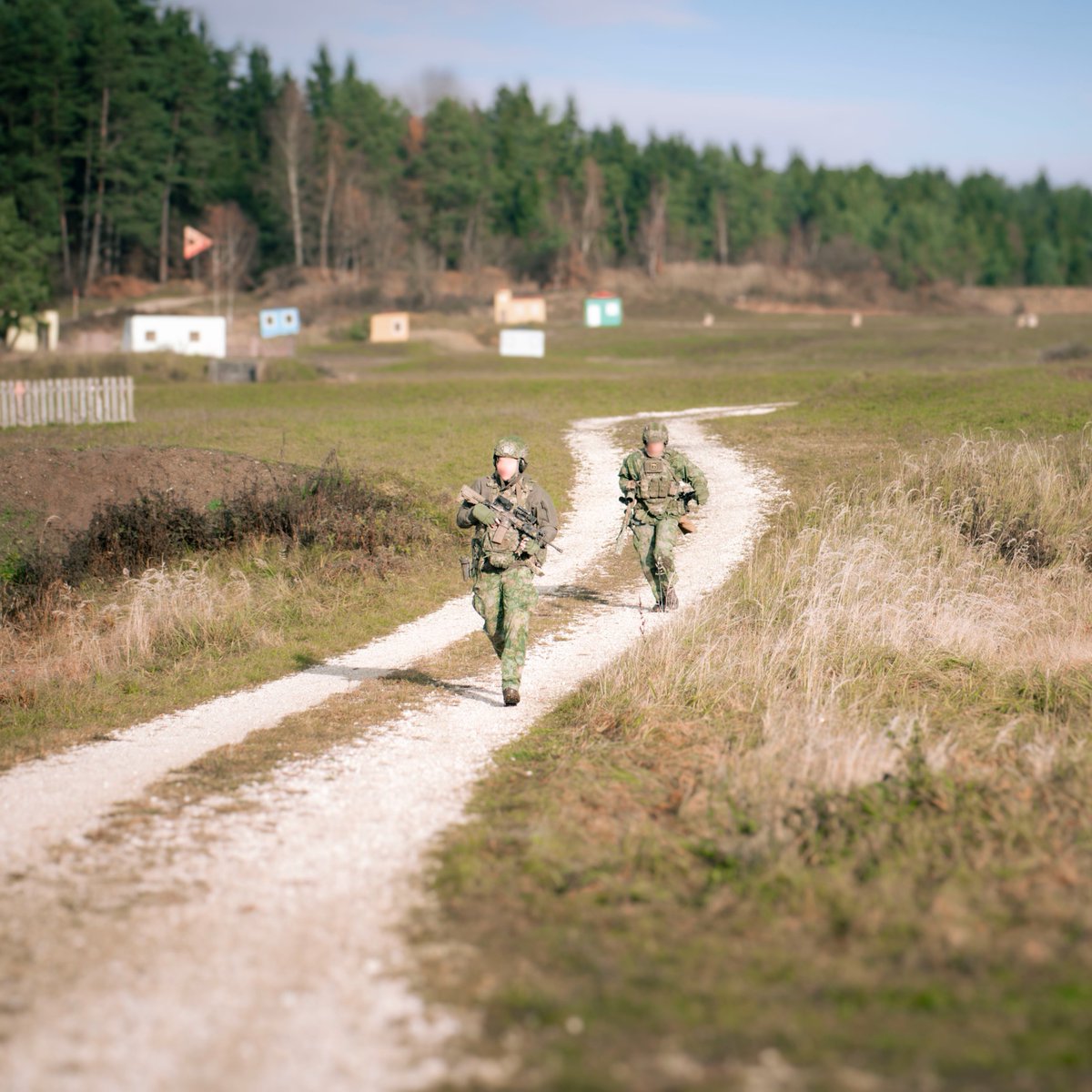 Stars and Stripes tweet media