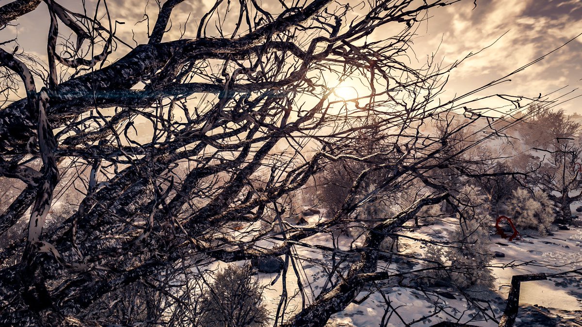 Winter Scenery. #Starfield

#VirtualPhotography