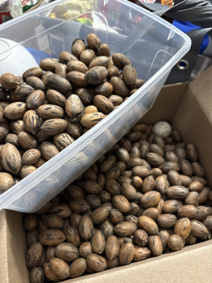 Iteach2ndgrade1's tweet image. Round two and three! What an amazing pee-can season we’ve had! #NorthCarolina 28 cups and counting! 😊😁