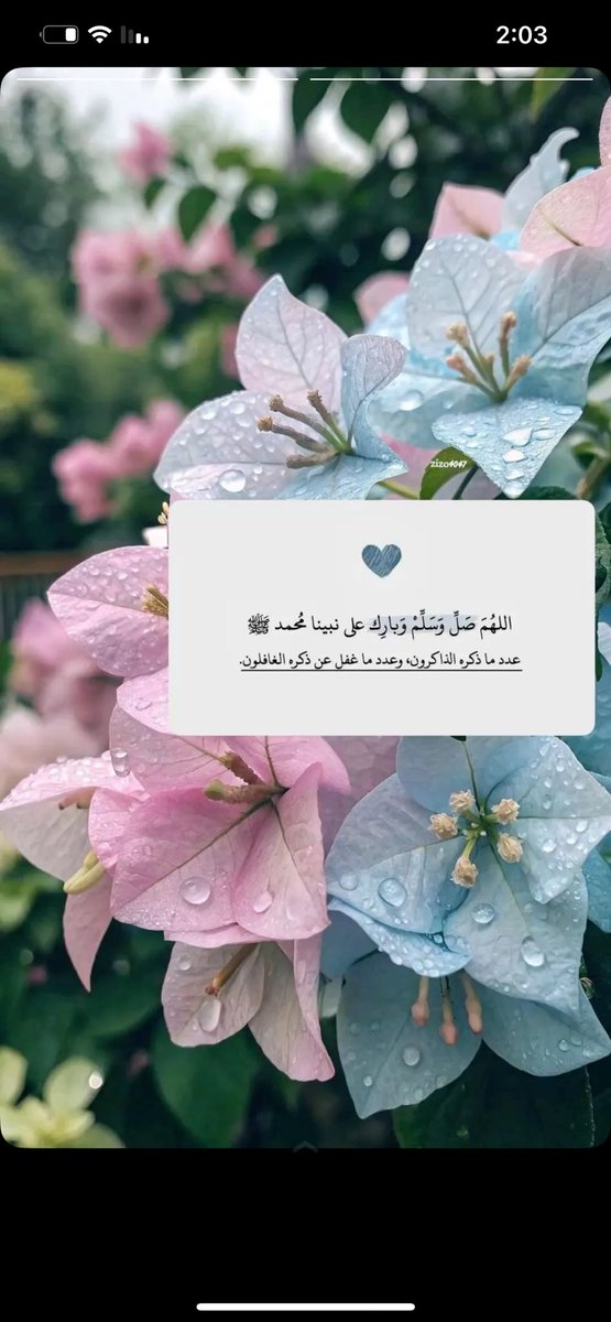 #صباحيات #يوم_الجمعة صلو على النبي 🤍