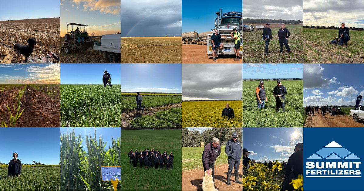 🌾 Happy National Ag Day 🌾
We’re excited to celebrate this day that is supporting the importance of our sector! 

Our Area Managers live and work in local farming communities and understand the challenges that farmers face across the state. 

#NationalAgDay #STANDWITHTHELAND