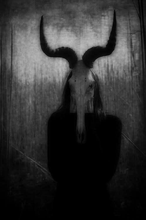 Brutal666metal. (@666brutalmetal) on Twitter photo 