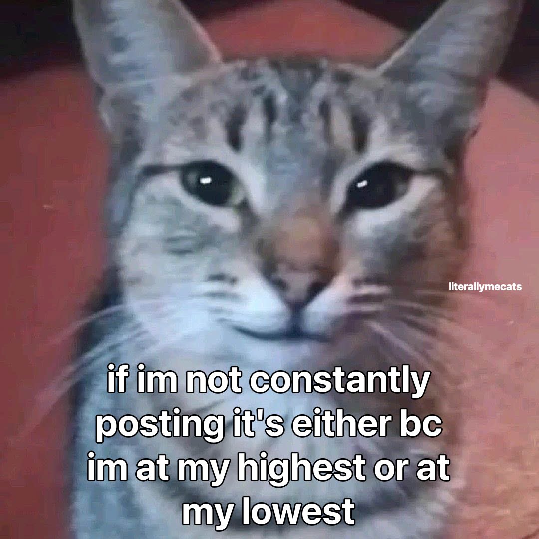 literallymecats's tweet image. 