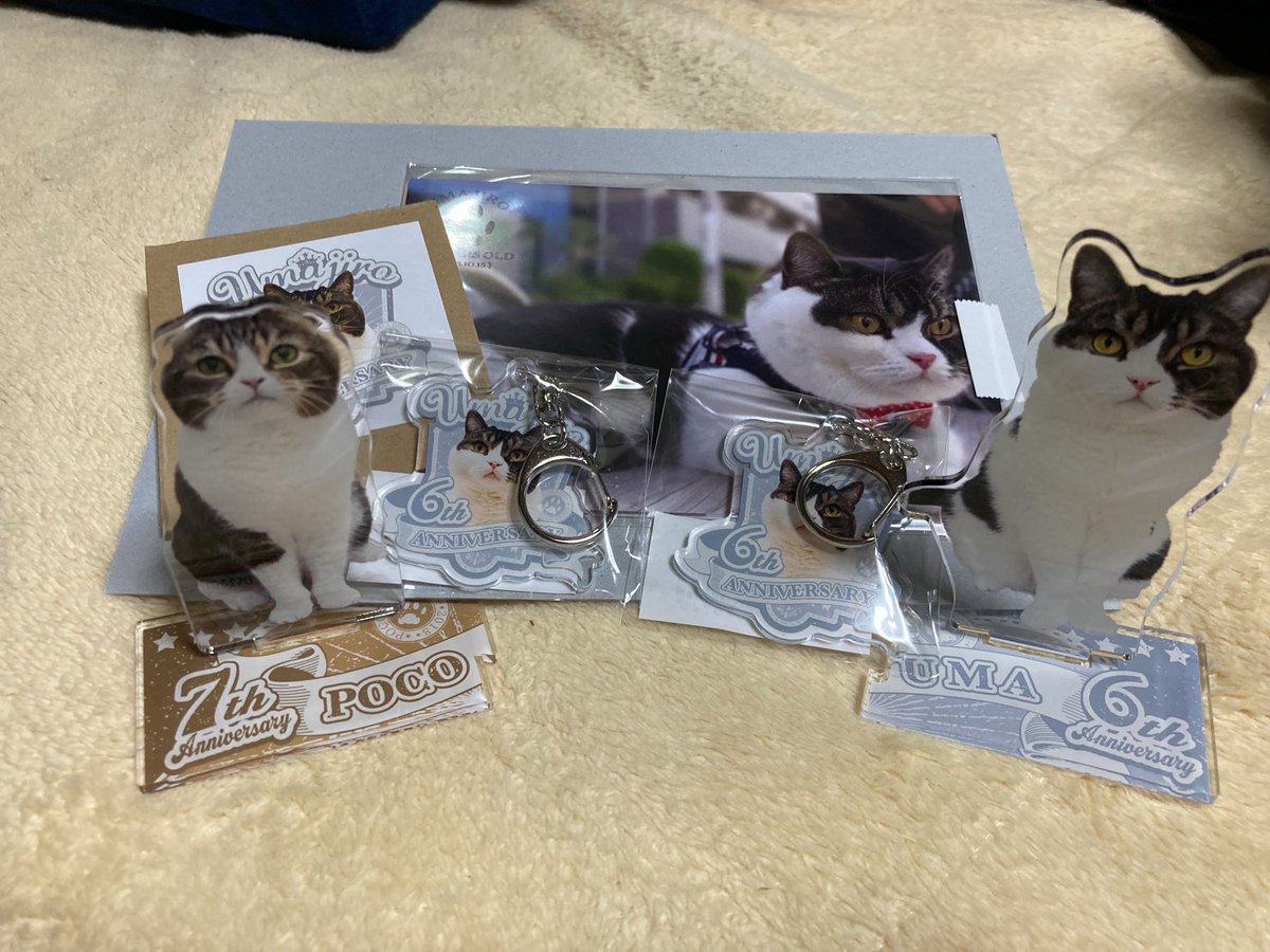 スコスコぽこ太郎&うま次郎 (@PocoUma) / Posts / X