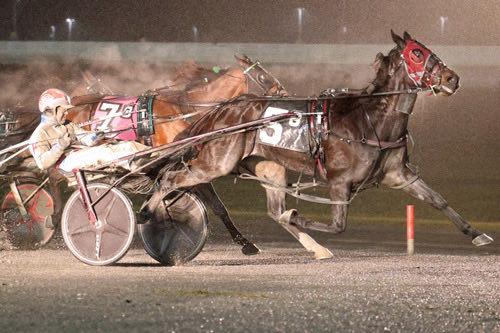 This year’s MGM Grand Prix Pacing Series begins on Monday night, November 24th at <a href="/YonkersRaceway/">Yonkers Raceway</a>. With last year’s champion Typhoon Banner N not in this year’s edition, there will be a new winner crowned. Here’s an overview of this year’s series, and top players: