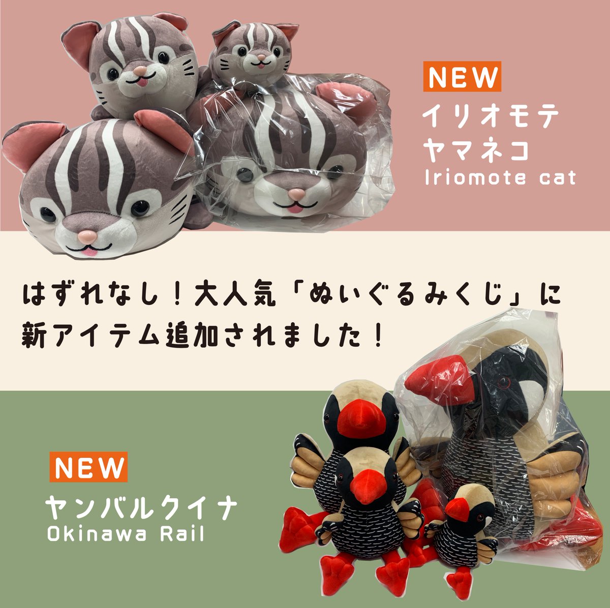 新しく仲間入り！＞ はずれなし！大人気の「ぬいぐるみくじ」に新