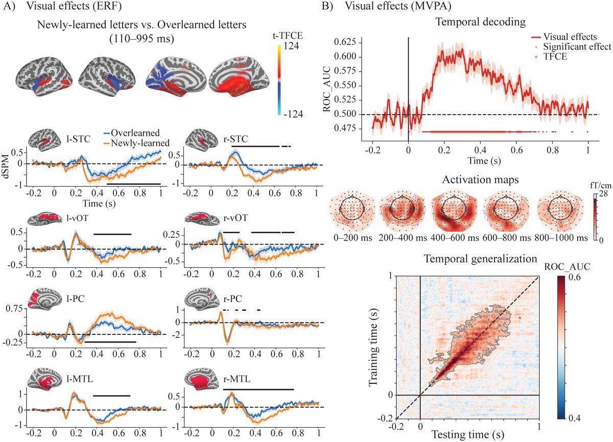 Imaging Neuroscience tweet media