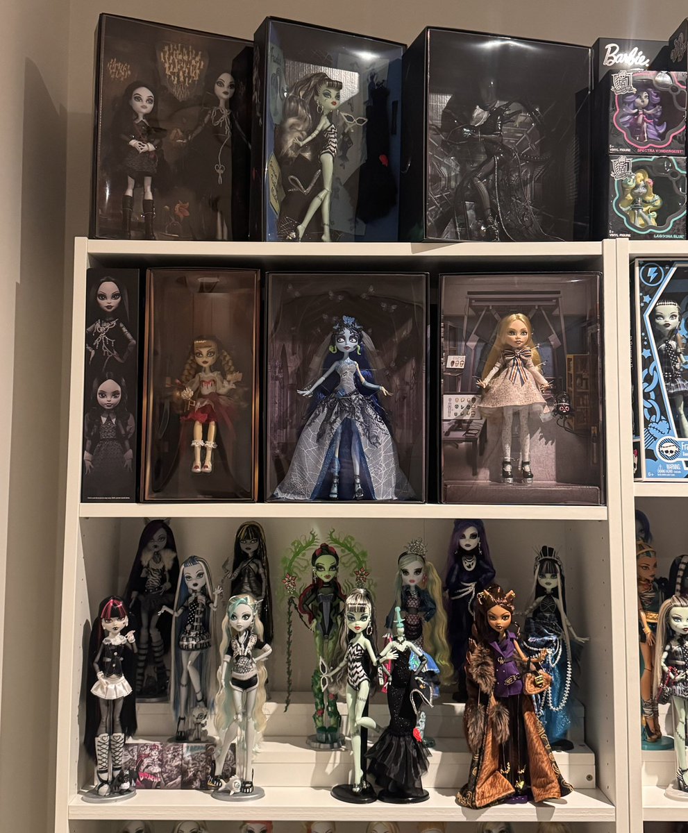 SweeetScreams's tweet image. shelf update 😇