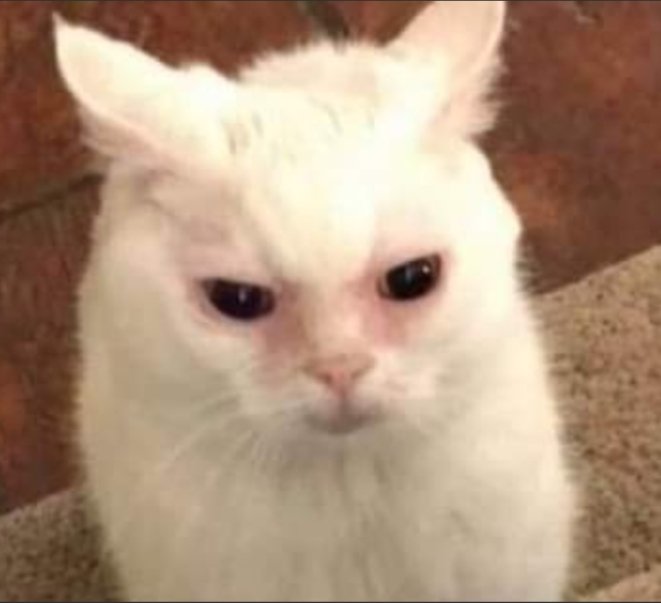 ilyhrnvl's tweet image. Yo viendo como hay fans que consiguieron el póster de Frankelda o el cartón promocional cuando a mi el cinepolito me dijo que no los regalaban porque eran parte de la empresa