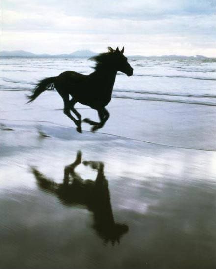 Your heart opens like an ocean