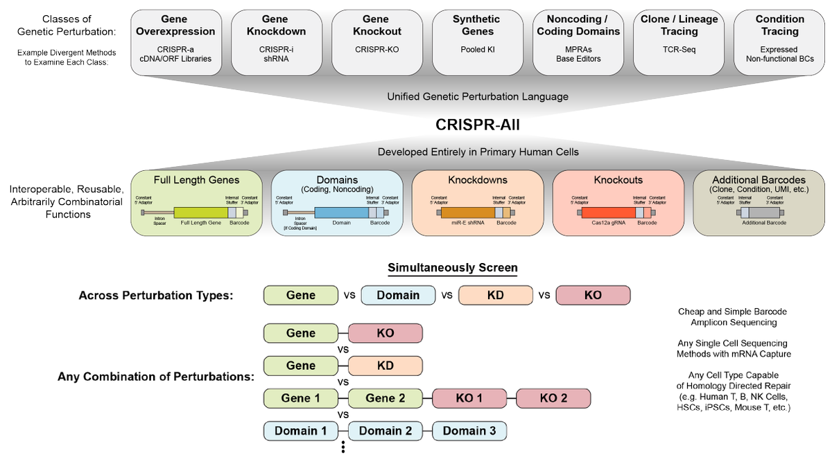 Roth_Lab tweet media