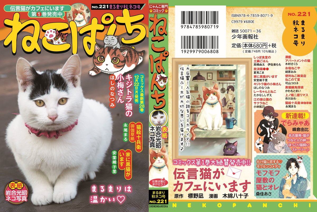ねこぱんち編集部＠公式 (@nekopanchiNP) / Posts / X