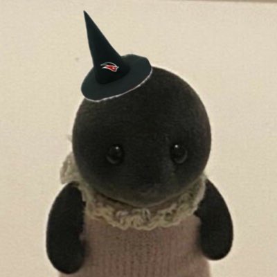 오쏠 tweet media