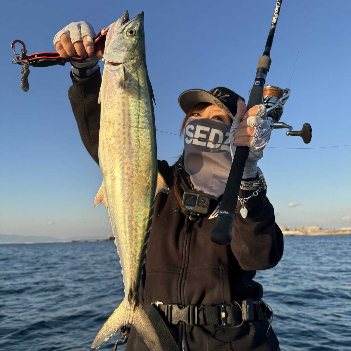 SHINJI FUJII®︎ (@vh_rodplanner) / Posts / X