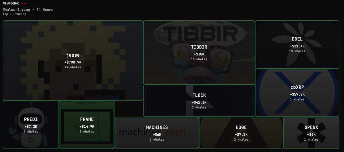 Neurodex 仪表盘，展示 Base 上鲸鱼的主要买入