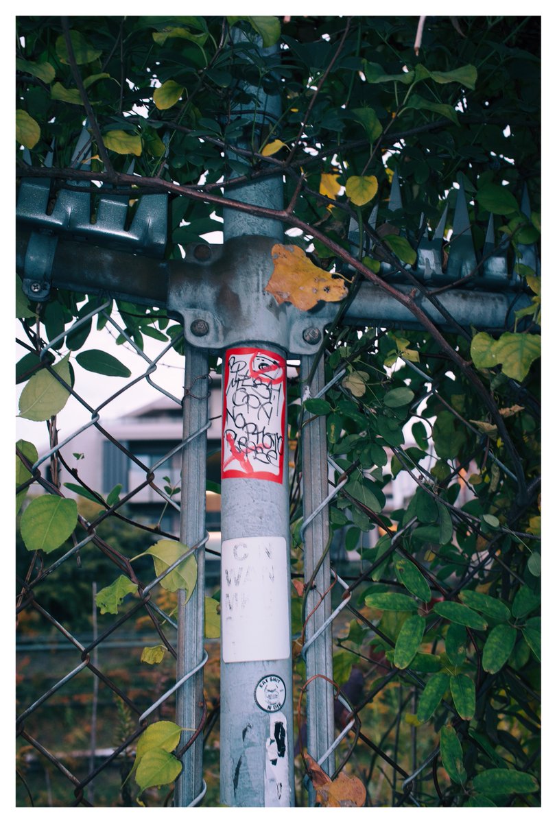 Dark Saucerer (@7sauce7) on Twitter photo 