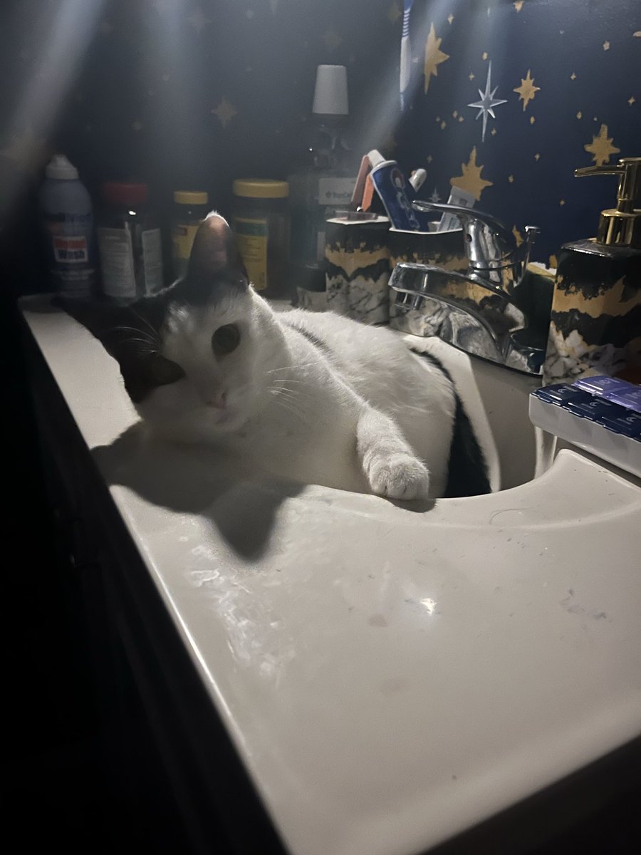 hellolonlie's tweet image. guy who sits in sink: