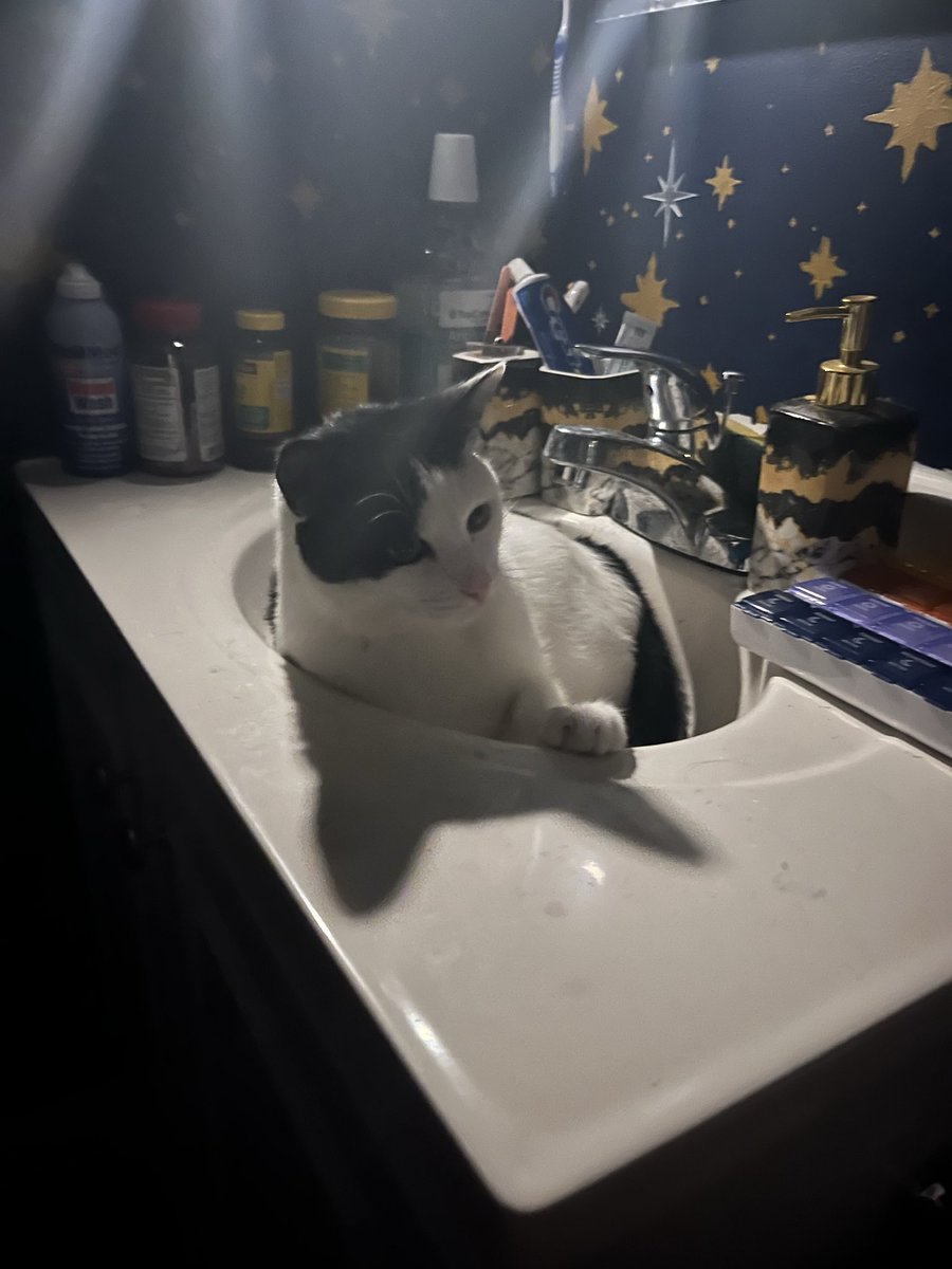 hellolonlie's tweet image. guy who sits in sink: