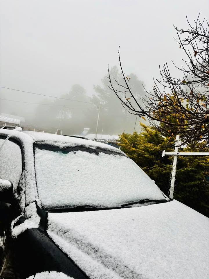 Nieve en Mexico tweet media