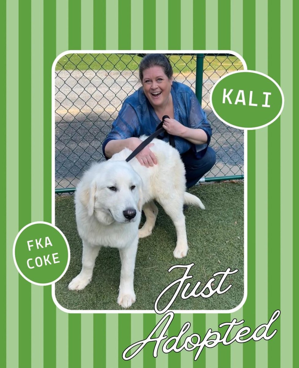 GPRAtlanta's tweet image. 