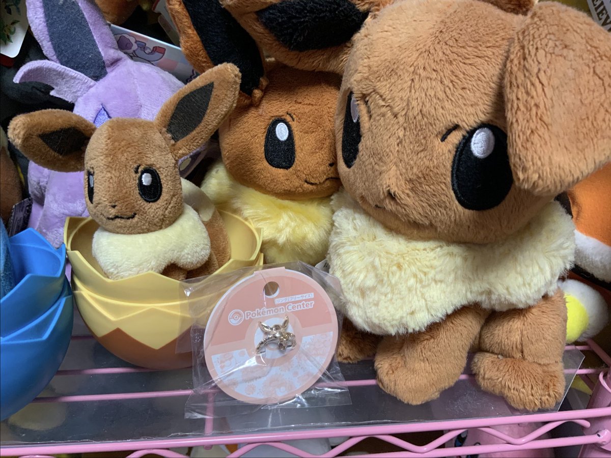 今年もやってきてしまったのだよ💖 19日に発売された新作イーブイ