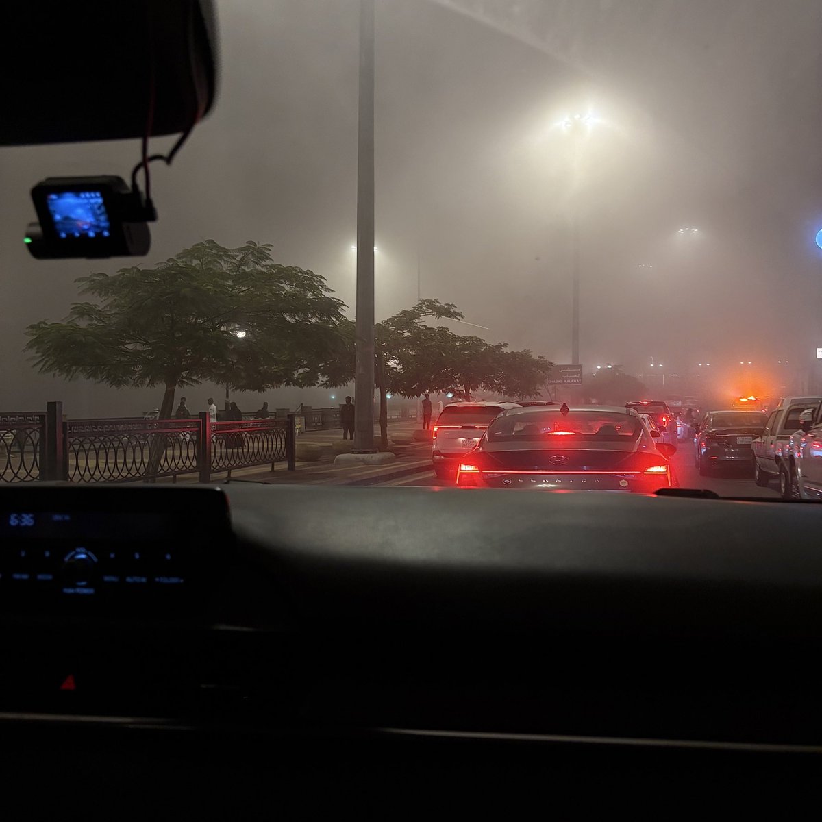 Maram 🌱 tweet media