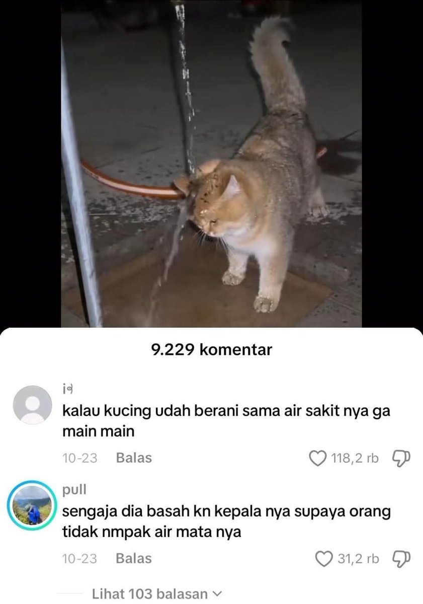 SosmedAnu's tweet image. 