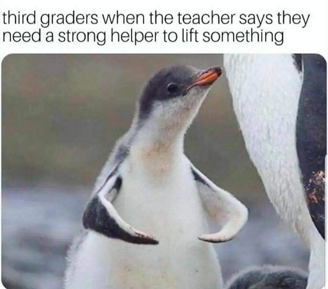 HelpATeacher's tweet image. Sounds about right!