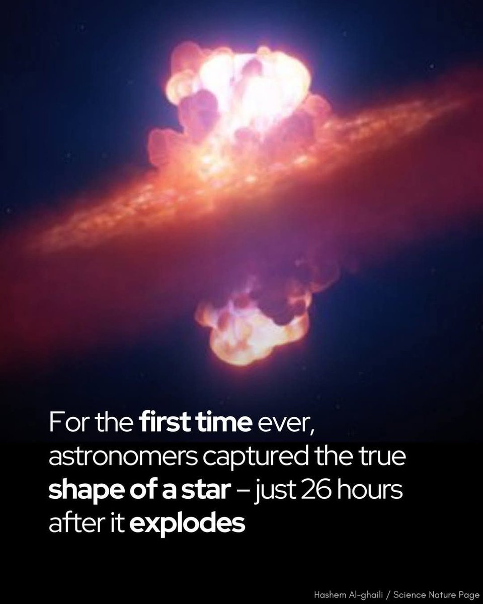 criticallearner's tweet image. 