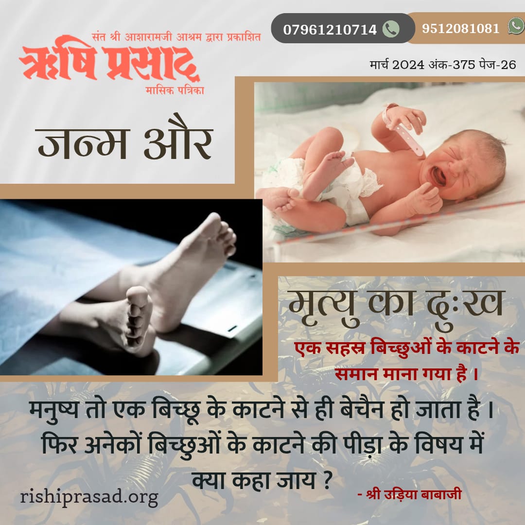 जन्म और मृत्यु का दुःख एक सहस्र बिच्छुओं के काटने के समान माना गया है।
मनुष्य तो एक बिच्छू के काटने से ही बेचैन हो जाता है।फिर अनेकों बिच्छुओं के काटने की पीड़ा के विषय में क्या कहा जाय? - श्री उड़िया बाबाजी 
मार्च 2024, अंक-375, पेज-26
#RishiDarshan
#RishiPrasad
#AsharamjiBapu