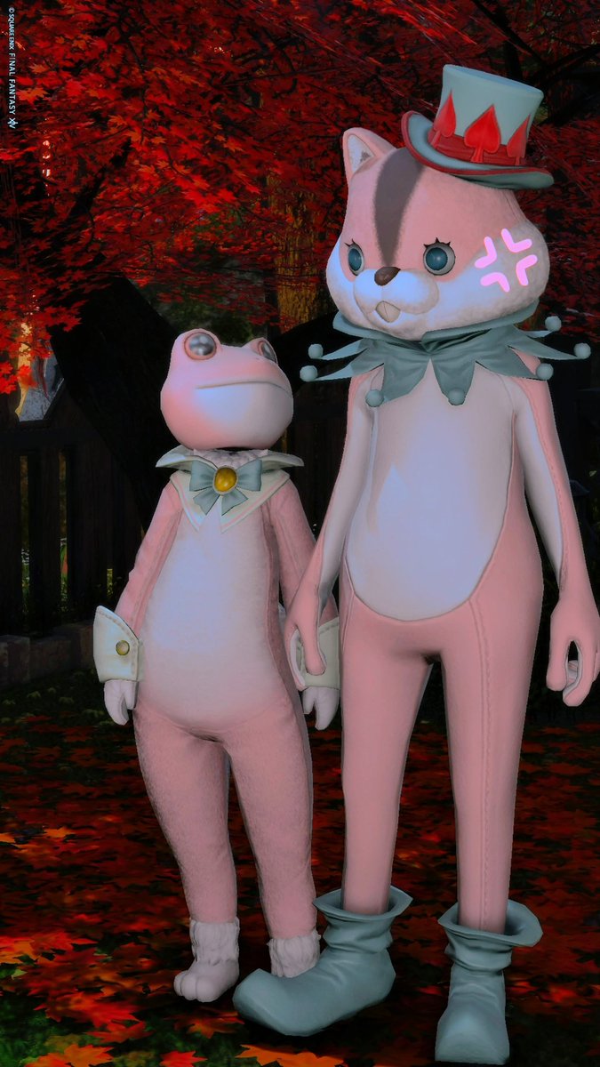 Noraemon_ff14's tweet image. 肉まんイヤリング交換したので2匹でミラプリした🐸

🐿️「お互い見えねぇよ」
🐸「それな」