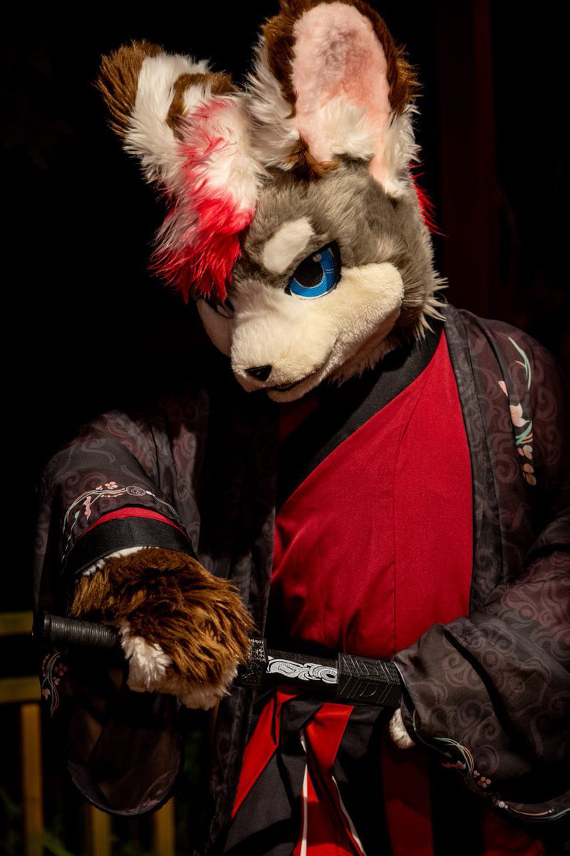 Dog_Taku's tweet image. 雷の呼吸 壱ノ型 霹靂一閃⚡️
📷：@Turquobitbit 
#FursuitFriday