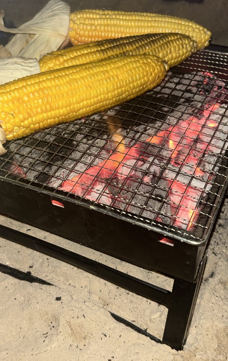 رُبَى tweet media