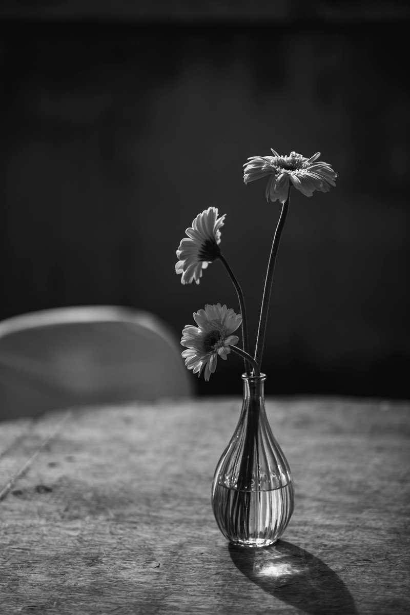 photoboy47's tweet image. Wedding day
#introvert #photography #สัตหีบ #ระยอง #ชลบุรี