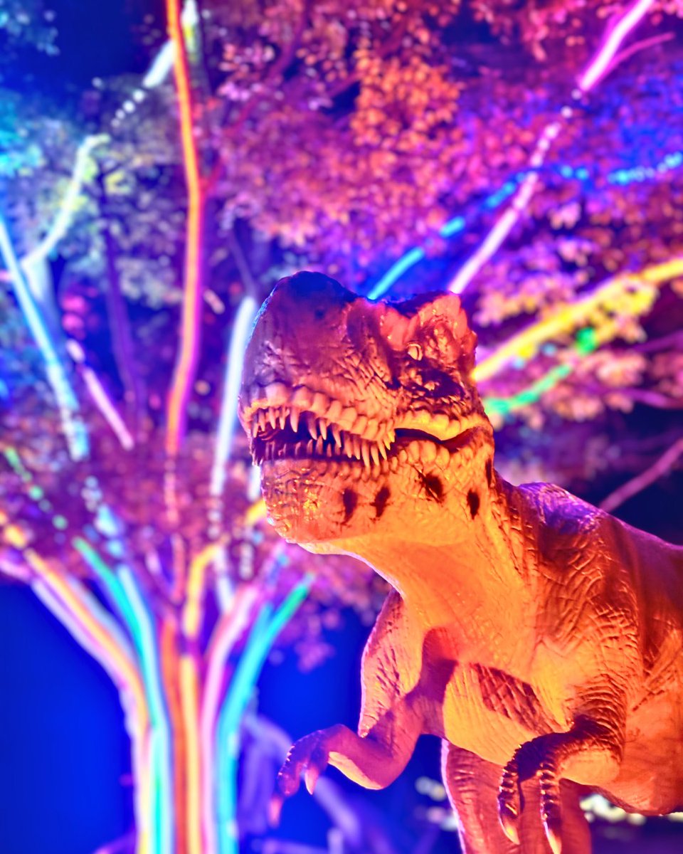 🌟東京ドイツ村イルミネーション4月5日まで毎日開催中🌟 今年のテーマ