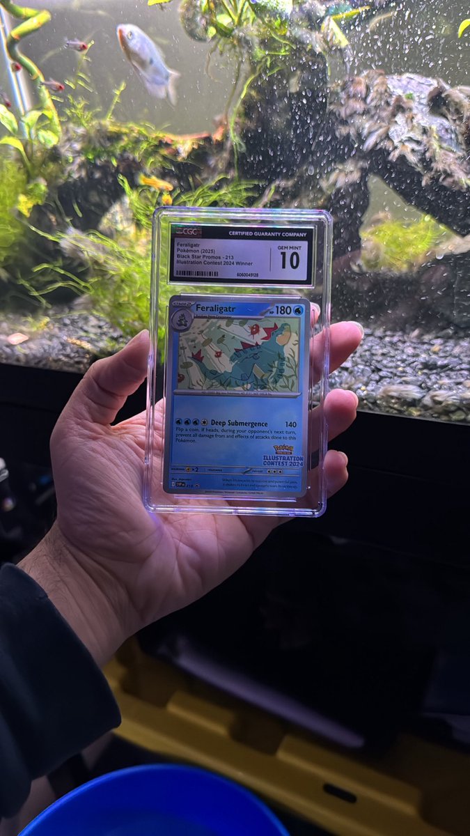 Little givey before the year ends! Like and follow to enter. Winner announced 11/30/2025 🫡

Free shipping to US 📦